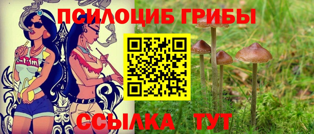 Псилоцибиновые грибы прущие грибы Каменск-Шахтинский